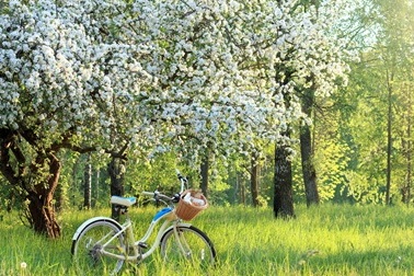 تدابیر فصل بهار